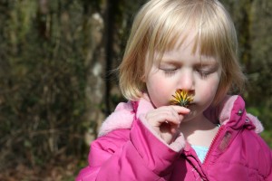 Flower Wish - Photo Credit to Dawn at Art Studio